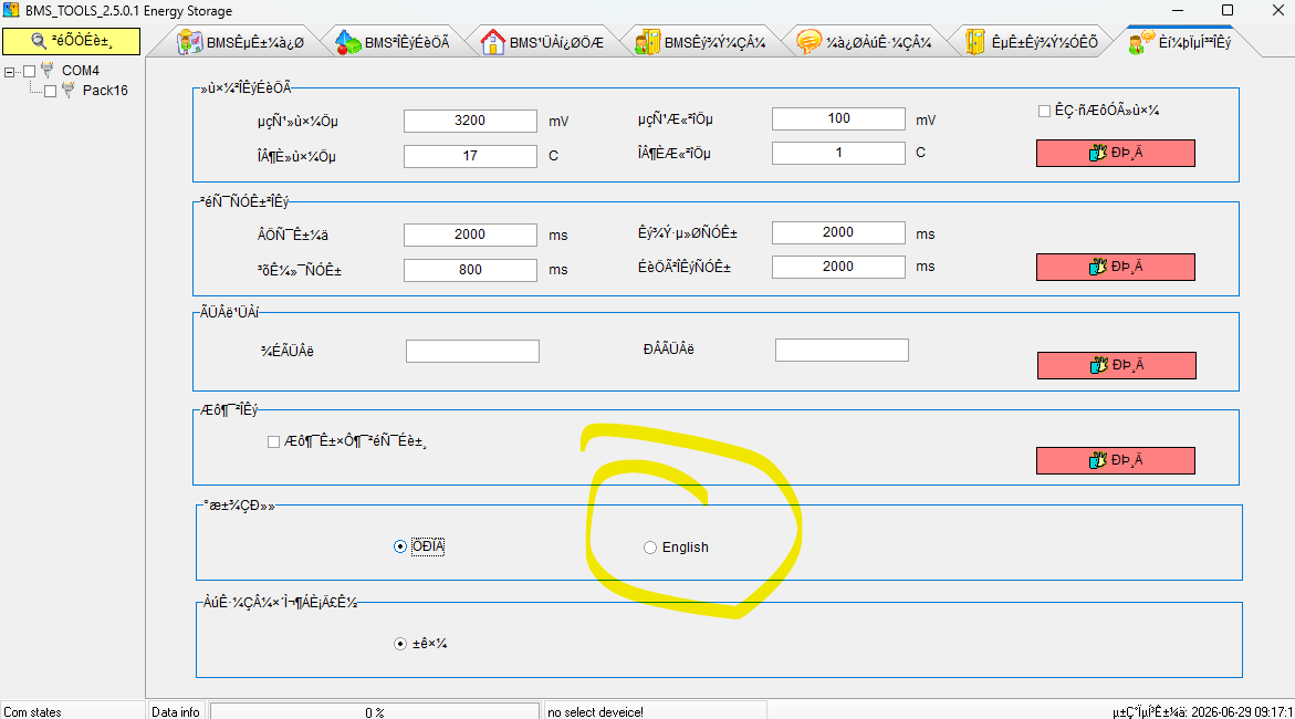 Software Parameter tab — select English
