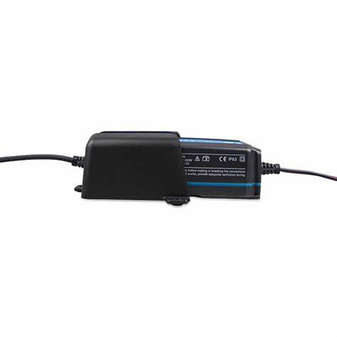 Wall Mount for Blue Smart IP65 Charger 12/10, 12/15, 24/8